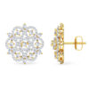 Circular Stark Diamond Stud Earrings product images