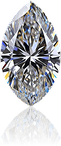 Marquise Category